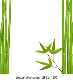 Colorful Stems and Bamboo Leaves. Vector Illustration. EPS10