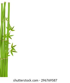 Colorful Stems and Bamboo Leaves. Vector Illustration. EPS10