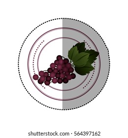 colorful sticker of circular shape with grape fruit