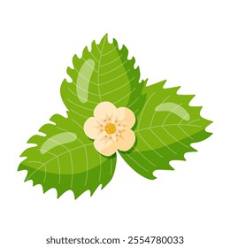 colorful strawberry flower, wild strawberry with lush green leaves, hand drawn, vector
