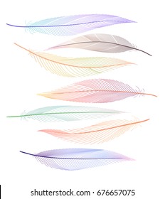 Colorful stripe line feather