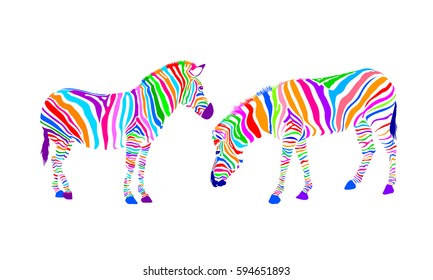Colorful striped of two zebra. Wild animal texture. Vector illustration isolated on white background