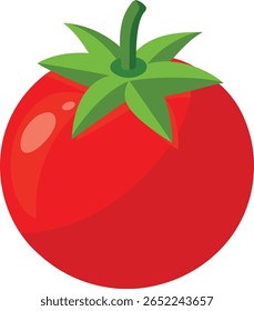 Colorful and stylish Tomato fruits vector illustration, Tomato vector graphics icon design, Vintage and retro Tomato vector graphics resource, Tomato editable vector art