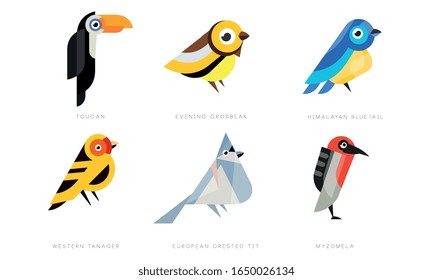 Colorful Stylized Birds Collection, Toukan, Evening Grosbeak, Himalayan Bluetail, Western Tanager, European Crested Tit, Myzomela Vector Illustration on White Background