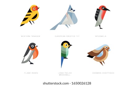 Colorosa colección de aves estilizadas, Western Tanager, European Crested Tit, Myzomela, Flame Robin, Long Tail Broadbill, Common Chaffinch Vector Illustración