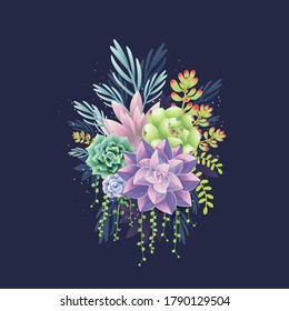 Colorful succulent bouquet on dark background. 