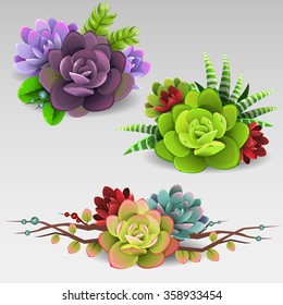 Colorful succulents