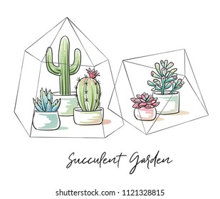 Colorful succulents and cactus plants in garden pottery in two terrariums with hand written font. Hand drawn doodle sketch vector illustration.