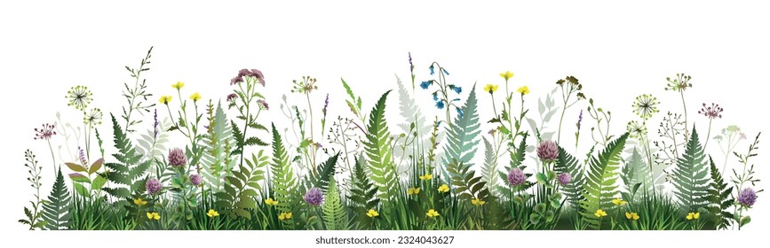 Colorful summer field with fern leaves, meadow herbs and flowers. Vector illustration. 