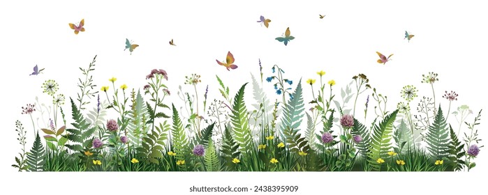 Campo de verano colorido con hojas de helecho, hierbas del prado, flores y mariposas. Ilustración vectorial. 