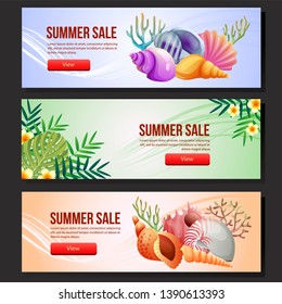 colorful summer sale banner web set sea shell vector illustration