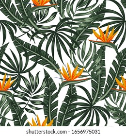 Colorful summer seamless pattern. Tropical plants, leaves and flowers on a white background. Trendy summer Hawaii print. Floral pattern. Exotic wallpaper, Jungle leaves.