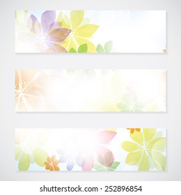 Colorful Summer Spring Background Banner With Flowers 