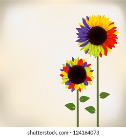 colorful sunflower