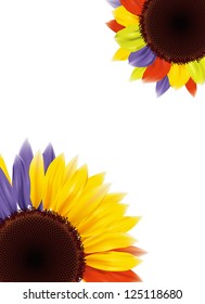 colorful sunflower