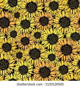 Colorful sunflower sketch pattern in trendy style on black background. Yellow sun flower retro design wallpaper. Graphic modern hand drawn decorative print