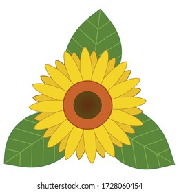 Colorful sunflower vector illustration isolated on white background. A hand-drawing art with yellow, brown, and green colors. Beautiful cartoon sunflower and leaves for textile, invitation, card.