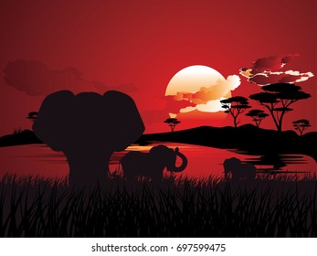 Colorful sunset scene, african landscape with silhouette of trees and elephant.