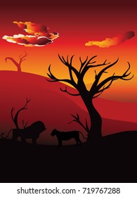 Colorful sunset scene, african landscape with silhouette of trees and lion.