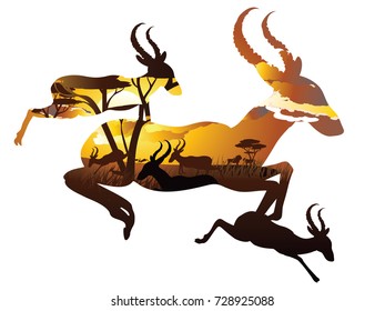 Colorful sunset scene, african landscape with silhouette of trees and antelopes.