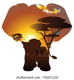 Colorful sunset scene, african landscape with silhouette of trees and elephant.
