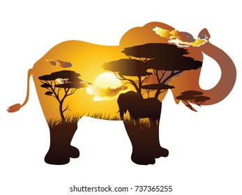 Colorful sunset scene, african landscape with silhouette of trees and elephant.