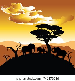 Colorful Sunset Scene African Landscape Silhouette Stock Vector ...