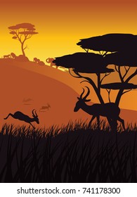 Colorful sunset scene, african landscape with silhouette of trees and antelopes.