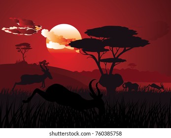 Colorful sunset scene, african landscape with silhouette of trees and antelopes.