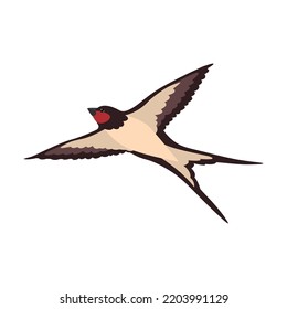Colorful swallow flat illustration. Cartoon birds flock in fight with different poses isolated vector illustration. Wildlife and fauna concept