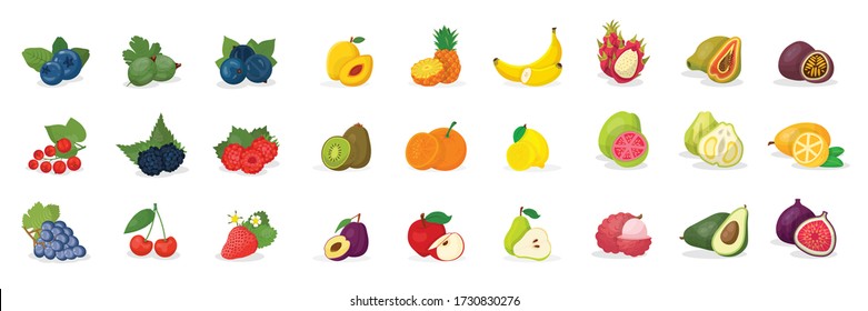 Colorful sweet fruits and forest berries flat set. Cartoon exotic tropical juicy, garden traditional icons. Vegetarian food. Vitamin meal. Fresh organic collection. Vector flat illustration