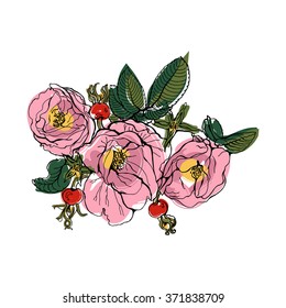 Colorful tea rose brunch with red berries. Isolated floral bunch