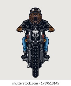Colorful template of angry bear head biker riding motorcycle in vintage style isolated vector illustration