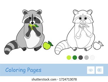 Colorful template and colorless contour image of the eating an apple raccoon isolated on white background.