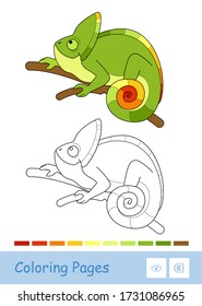 Colorful template and colorless contour image of cute chameleon sitting on the branch isolated on white background.