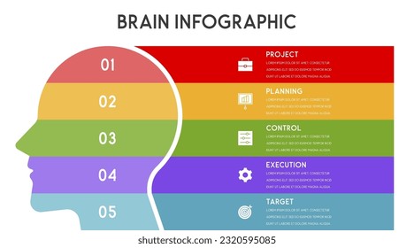 Colorful Template for presentation, diagram, graph and chart 5 options human head