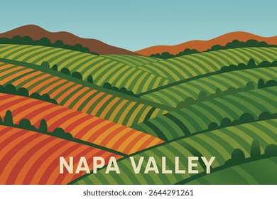 As vinhas coloridas em terraços do Vale de Napa, na Califórnia, ganham vida no outono, com cores vibrantes da época de colheita, transformando a paisagem em uma vista pitoresca