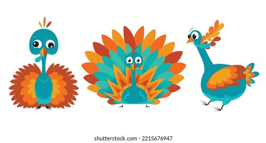 Colorful Thanksgiving Turkey illustration set