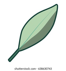 colorful thick contour of stem with leaf in closeup vector illustration
