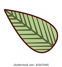 colorful thick silhouette of tree leaf vector illustration