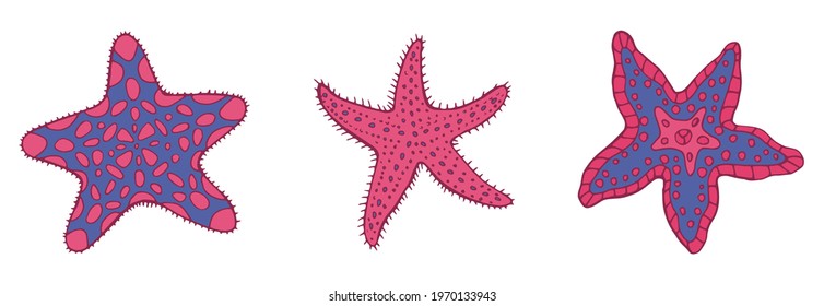 Colorful three starfish. Hand drawn starfish illustration. Vector illustration.