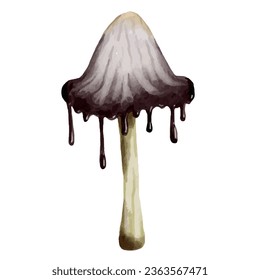 Colorful toadstool mushroom. Vector graphics.