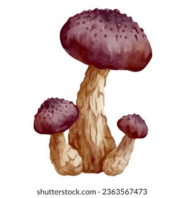 Farbiger Toadstool-Pilz. Vektorgrafiken.