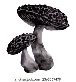 Farbiger Toadstool-Pilz. Vektorgrafiken.