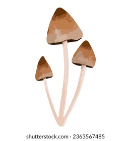 Colorful toadstool mushroom. Vector graphics.