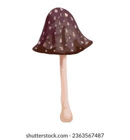 Colorful toadstool mushroom. Vector graphics.