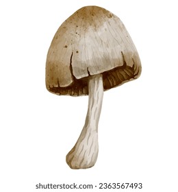 Colorido hongo de toadstool. Gráficos vectoriales.