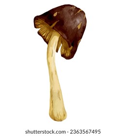 Colorful toadstool mushroom. Vector graphics.