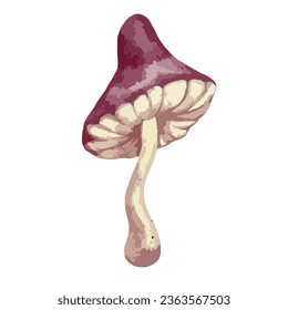 Colorful toadstool mushroom. Vector graphics.