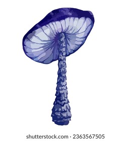 Colorido hongo de toadstool. Gráficos vectoriales.